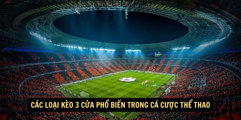 SHBET - Kèo 3 Cửa Là Gì, Kinh Nghiệm Soi Kèo Từ Cao Thủ 6 Các loại kèo 3 cửa phổ biến trong cá cược thể thao