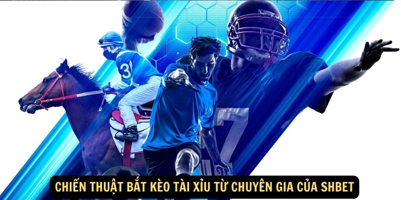 SHBET - 3 Mẹo Đặt Kèo Tài Xỉu Và Cách Kiểm Soát Cảm Xúc 4 Chiến thuật bắt kèo tài xỉu từ chuyên gia của SHBET