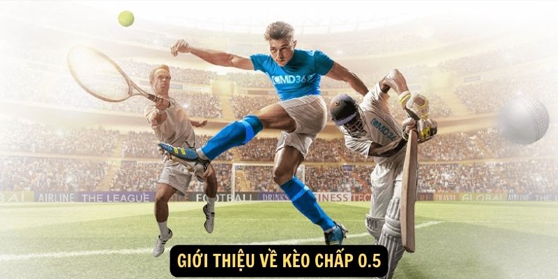 SHBET - Kèo Chấp 0.5 Trong Bóng Đá Và Cách Chơi 2024 4 Giới thiệu về kèo chấp 0.5