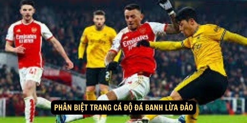 SHBET - Hướng Dẫn Chọn Lựa Trang Cá Độ Đá Banh 2024 6 Phân biệt trang cá độ đá banh lừa đảo