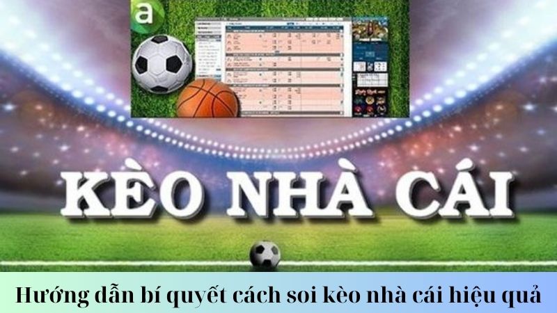SHBET - Hướng dẫn 3 bí quyết cách soi kèo nhà cái hiệu quả 5 Hướng dẫn cách soi kèo nhà cái hiệu quả