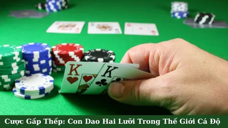 SHBET - Cược Gấp Thếp: Con Dao Hai Lưỡi Trong Giới Cá Độ 7 Những Lưu Ý Khi Áp Dụng Chiến Lược Cược Gấp Thếp