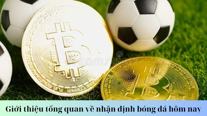 SHBET - Cùng Các Chuyên Gia Nhận Định Bóng Đá Hôm Nay 5 Giới thiệu về nhận định bóng đá hôm nay