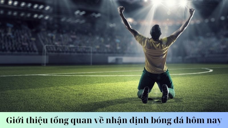 SHBET - Cùng Các Chuyên Gia Nhận Định Bóng Đá Hôm Nay 7 Tại sao nên tham khảo nhận định bóng đá hôm nay