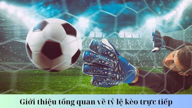 SHBET - Tỷ Lệ Kèo Trực Tiếp Và 3 Mẹo Soi Kèo Từ Chuyên Gia 8 Nên theo dõi tỷ lệ kèo trực tiếp ở đâu?