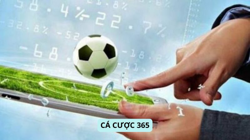 SHBET - Top 5 điều hấp dẫn người chơi cá cược 365 online 6 Những rủi ro và thách thức của cá cược 365