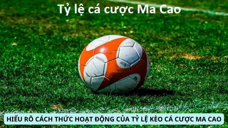 SHBET - Top 10 Cách Chơi Giảm Rủi Ro Khi Cá Cược Ma Cao 5 Hiểu rõ cách thức hoạt động của Tỷ Lệ Kèo Cá Cược Ma Cao