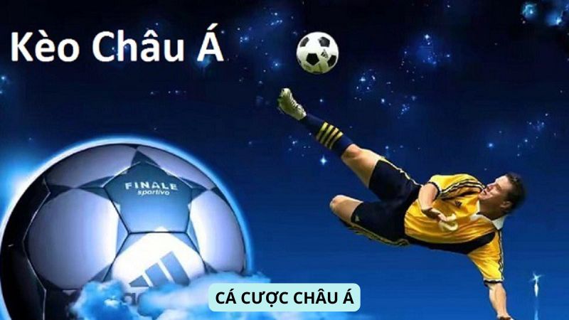 SHBET - 5 Hình thức đặt cược và cách cá cược bóng đá online 6 Cá cược Châu Á