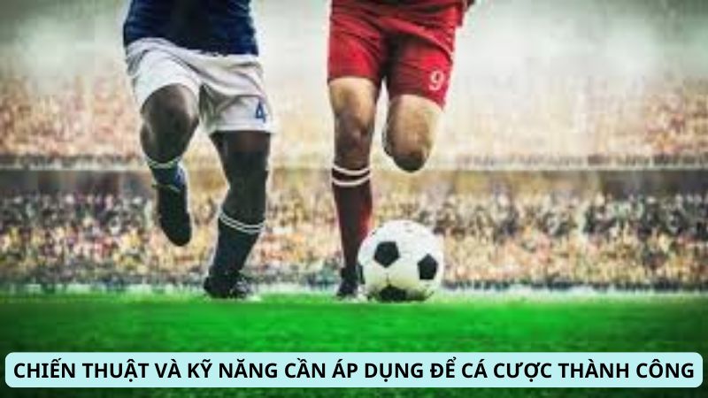 SHBET - 5 Hình thức đặt cược và cách cá cược bóng đá online 8 Các yếu tố ảnh hưởng đến cách cá cược bóng đá tại SH BET